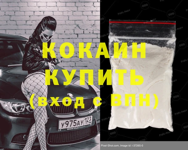 шишки Алексин